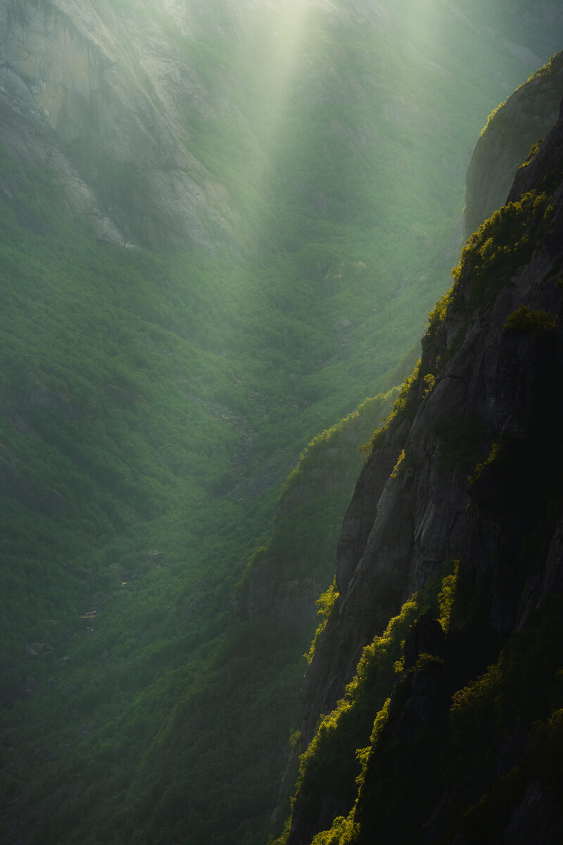 Landscape