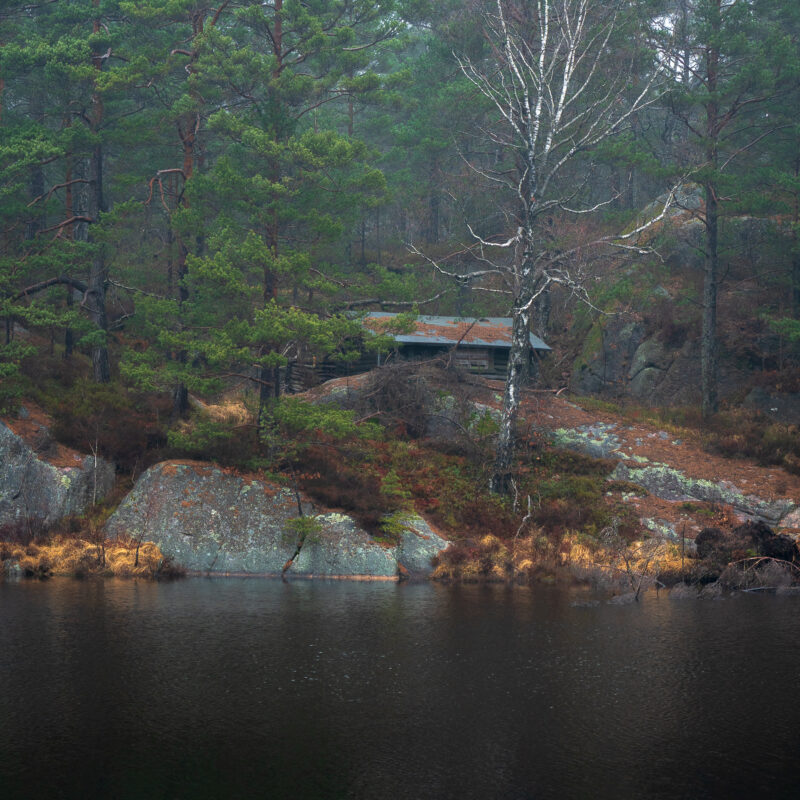 Landscape